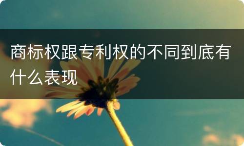商标权跟专利权的不同到底有什么表现