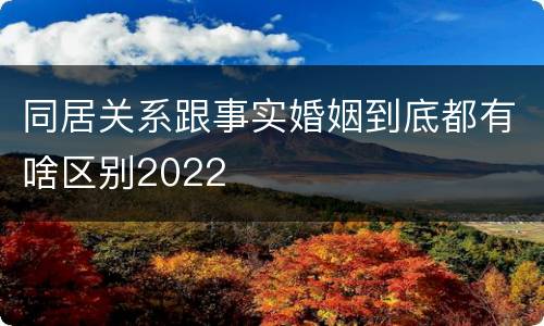 同居关系跟事实婚姻到底都有啥区别2022