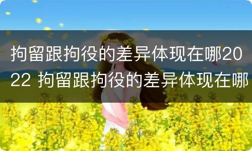 拘留跟拘役的差异体现在哪2022 拘留跟拘役的差异体现在哪2022年