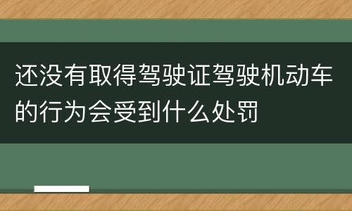 还没有取得驾驶证驾驶机动车的行为会受到什么处罚