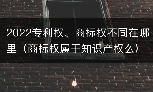 2022专利权、商标权不同在哪里（商标权属于知识产权么）