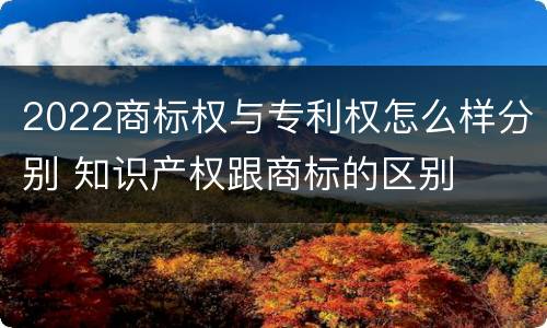 2022商标权与专利权怎么样分别 知识产权跟商标的区别