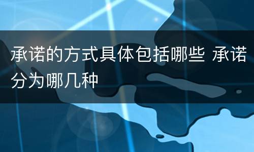 承诺的方式具体包括哪些 承诺分为哪几种