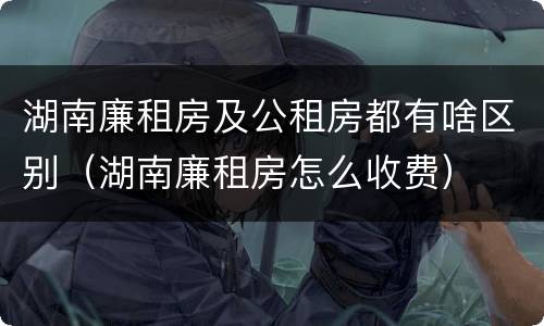 湖南廉租房及公租房都有啥区别（湖南廉租房怎么收费）