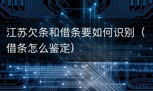 江苏欠条和借条要如何识别（借条怎么鉴定）