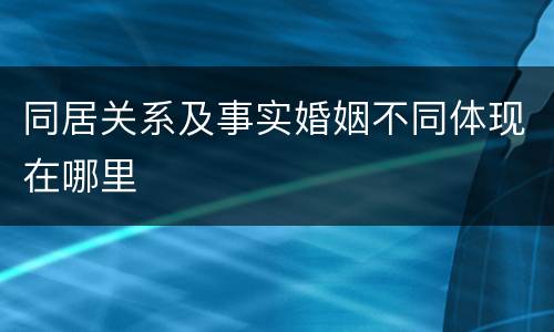 同居关系及事实婚姻不同体现在哪里