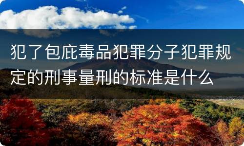 犯了包庇毒品犯罪分子犯罪规定的刑事量刑的标准是什么