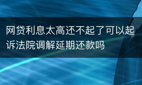 网贷利息太高还不起了可以起诉法院调解延期还款吗