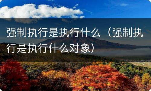 强制执行是执行什么（强制执行是执行什么对象）