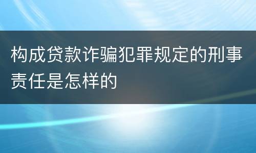 构成贷款诈骗犯罪规定的刑事责任是怎样的