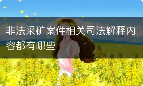 非法采矿案件相关司法解释内容都有哪些