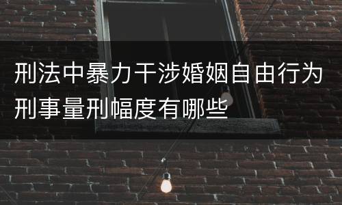刑法中暴力干涉婚姻自由行为刑事量刑幅度有哪些