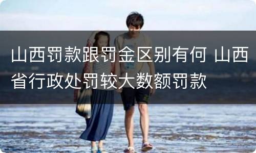 山西罚款跟罚金区别有何 山西省行政处罚较大数额罚款