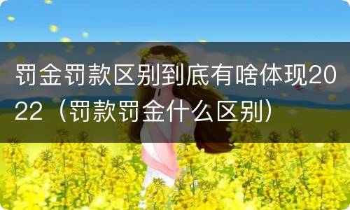 罚金罚款区别到底有啥体现2022（罚款罚金什么区别）