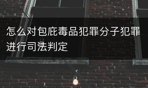 怎么对包庇毒品犯罪分子犯罪进行司法判定