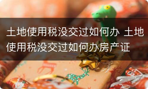土地使用税没交过如何办 土地使用税没交过如何办房产证