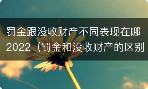 罚金跟没收财产不同表现在哪2022（罚金和没收财产的区别）