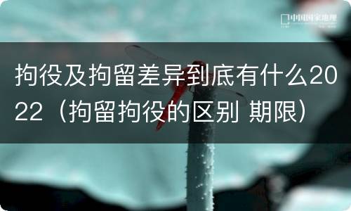 拘役及拘留差异到底有什么2022（拘留拘役的区别 期限）