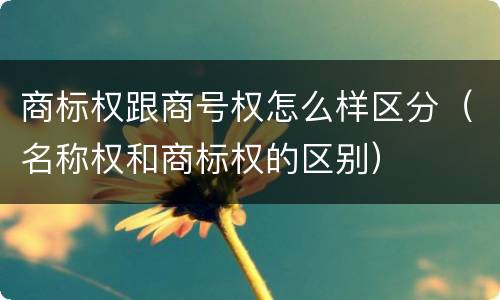 商标权跟商号权怎么样区分（名称权和商标权的区别）