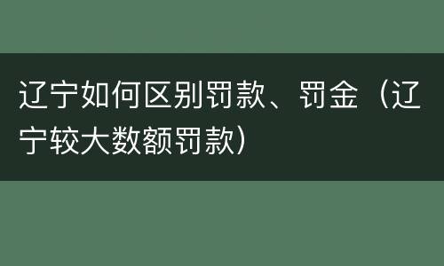辽宁如何区别罚款、罚金（辽宁较大数额罚款）