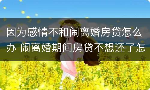 因为感情不和闹离婚房贷怎么办 闹离婚期间房贷不想还了怎么办