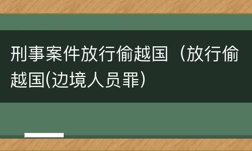 刑事案件放行偷越国（放行偷越国(边境人员罪）