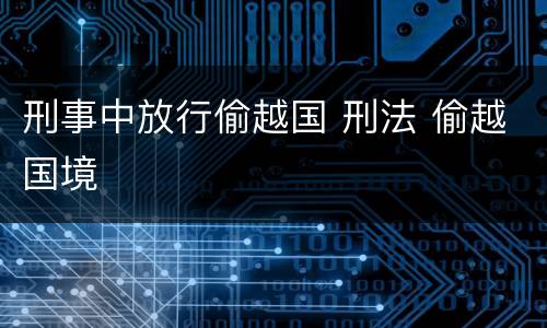 刑事中放行偷越国 刑法 偷越国境