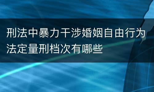 刑法中暴力干涉婚姻自由行为法定量刑档次有哪些