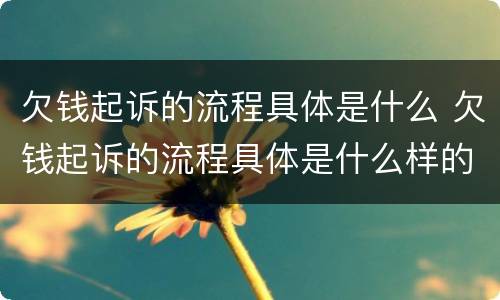 欠钱起诉的流程具体是什么 欠钱起诉的流程具体是什么样的