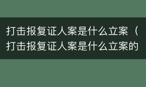 打击报复证人案是什么立案（打击报复证人案是什么立案的）