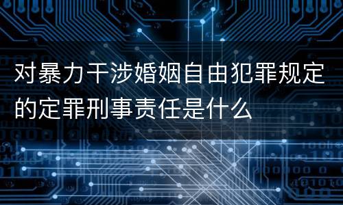 对暴力干涉婚姻自由犯罪规定的定罪刑事责任是什么