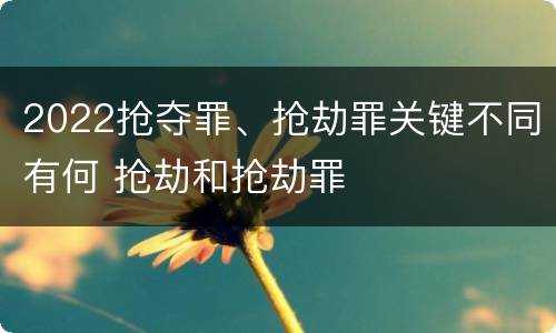 2022抢夺罪、抢劫罪关键不同有何 抢劫和抢劫罪