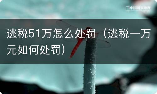 逃税51万怎么处罚（逃税一万元如何处罚）