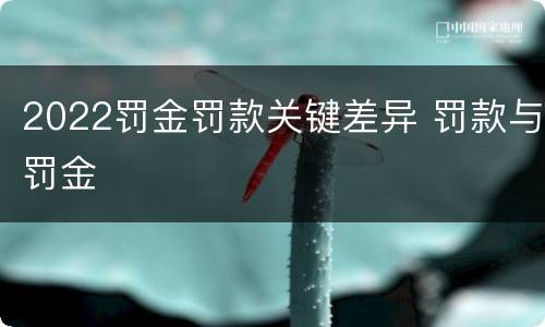2022罚金罚款关键差异 罚款与罚金