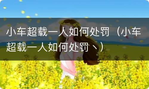 小车超载一人如何处罚（小车超载一人如何处罚丶）