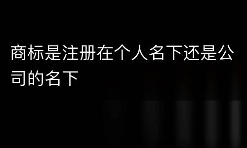 商标是注册在个人名下还是公司的名下