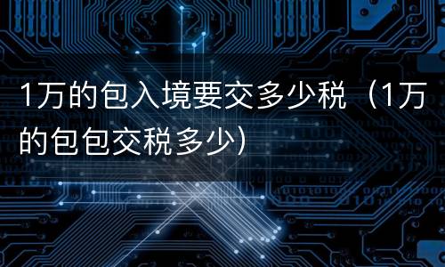 1万的包入境要交多少税（1万的包包交税多少）