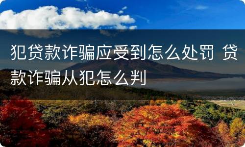 犯贷款诈骗应受到怎么处罚 贷款诈骗从犯怎么判