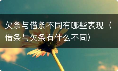 欠条与借条不同有哪些表现（借条与欠条有什么不同）