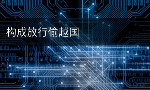构成放行偷越国