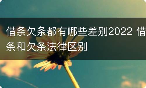 借条欠条都有哪些差别2022 借条和欠条法律区别