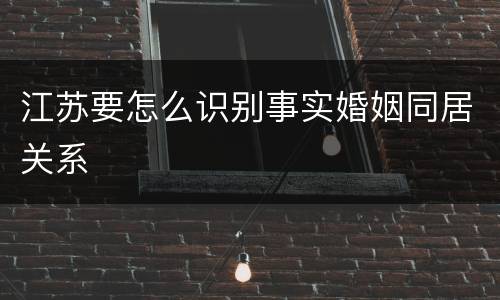 江苏要怎么识别事实婚姻同居关系