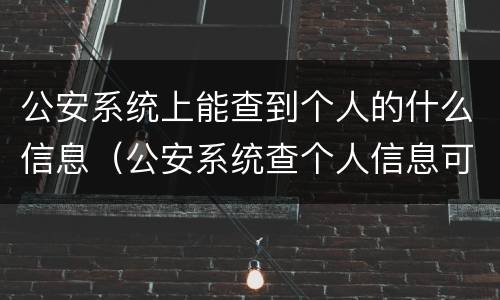 公安系统上能查到个人的什么信息（公安系统查个人信息可以查到什么）