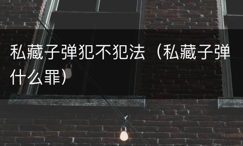 私藏子弹犯不犯法（私藏子弹什么罪）