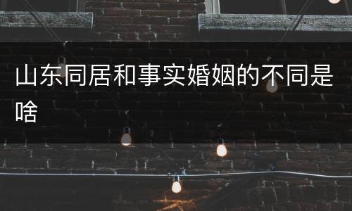 山东同居和事实婚姻的不同是啥