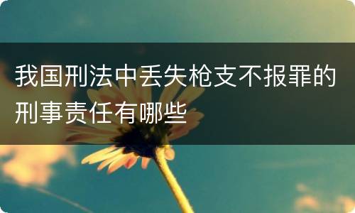 我国刑法中丢失枪支不报罪的刑事责任有哪些