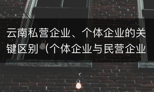 云南私营企业、个体企业的关键区别（个体企业与民营企业有啥不同）