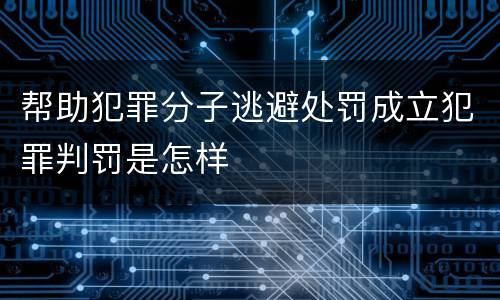 帮助犯罪分子逃避处罚成立犯罪判罚是怎样