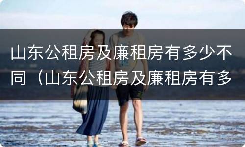 山东公租房及廉租房有多少不同（山东公租房及廉租房有多少不同的地方）