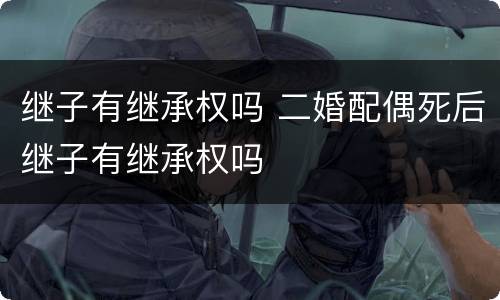 继子有继承权吗 二婚配偶死后继子有继承权吗